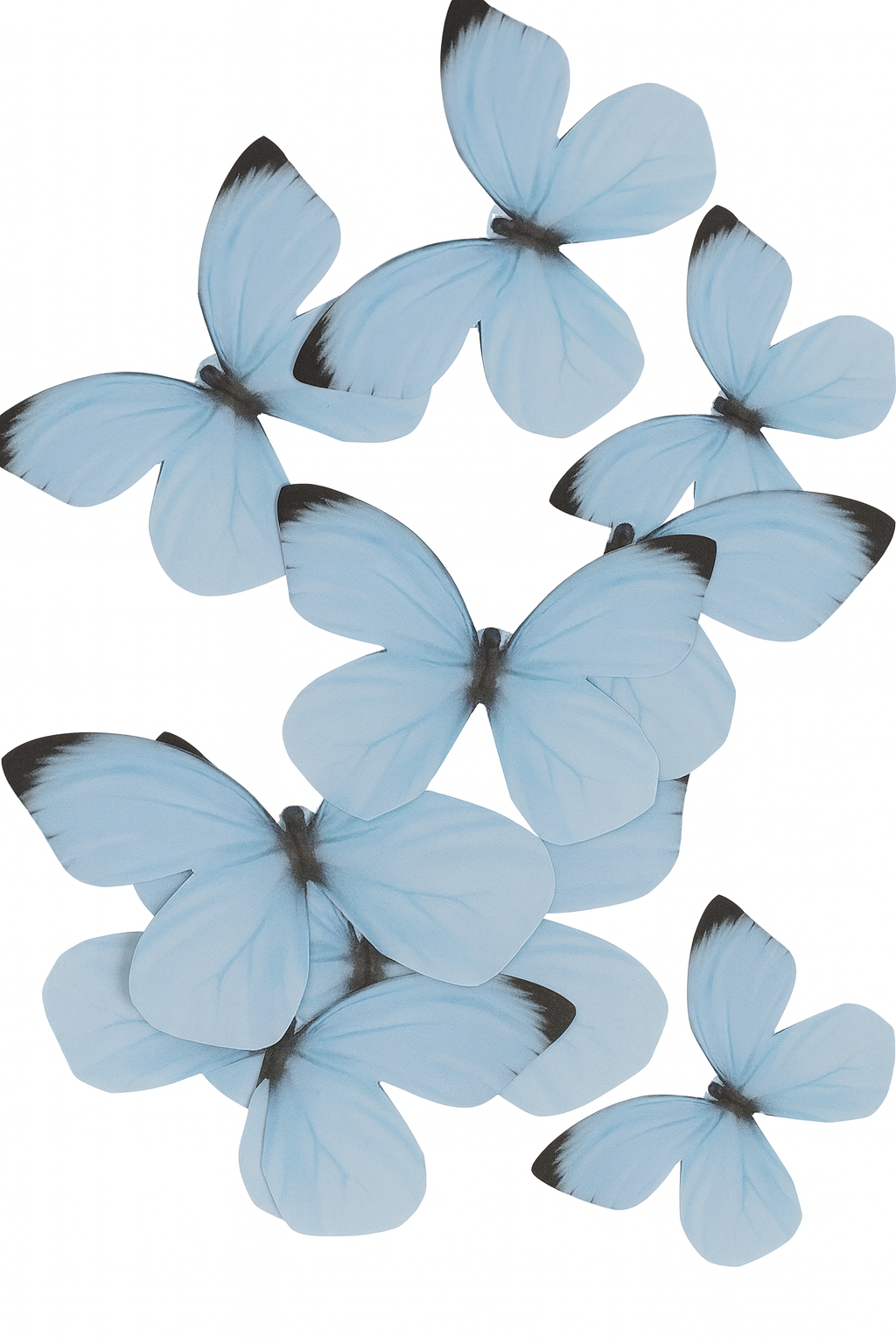 Butterfly Pack Of 10 Pastel Blue