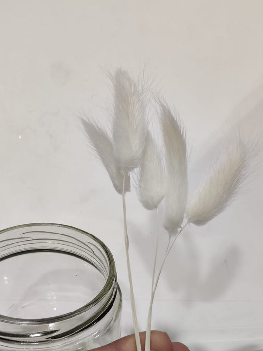 Bunny Tails White Colour Pack of 5