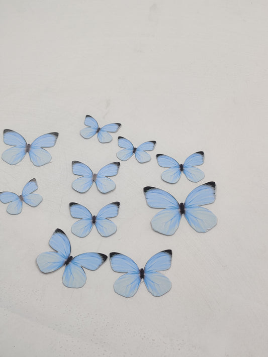 Blue butterfly pack of 10