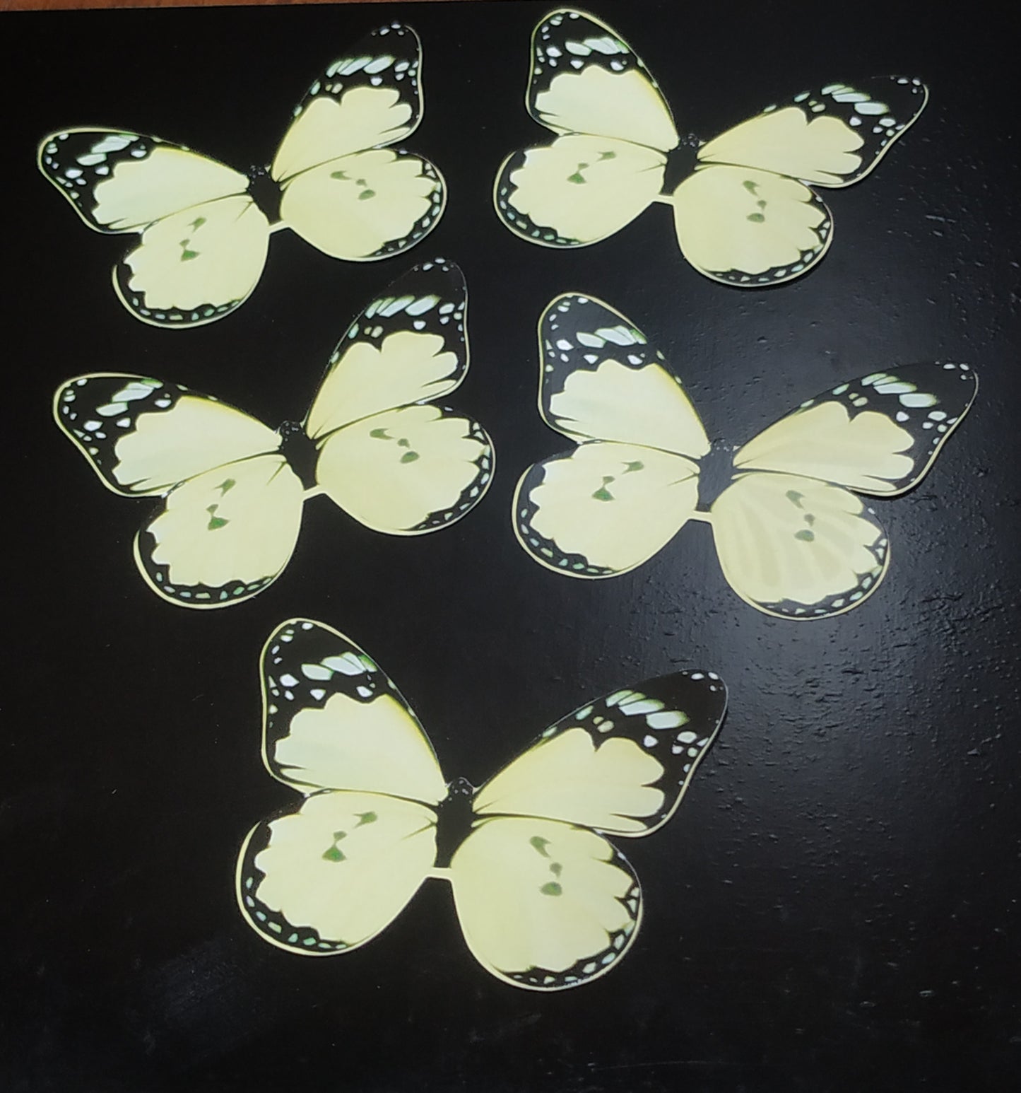 Butterfly Pack Of10 Random