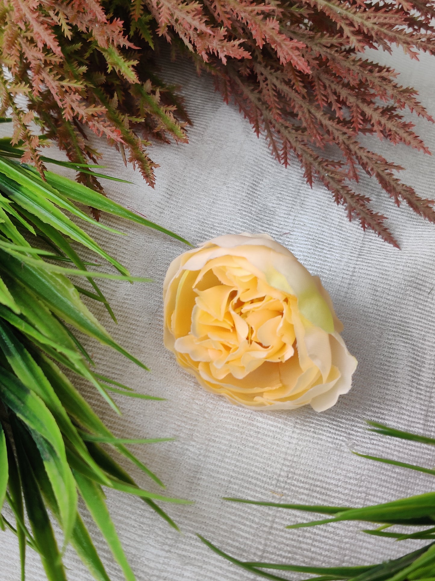 PEONY Md Code-EB14 pack of 3
