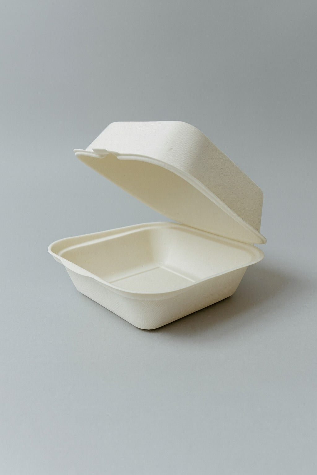 Bento box 5x5 inch