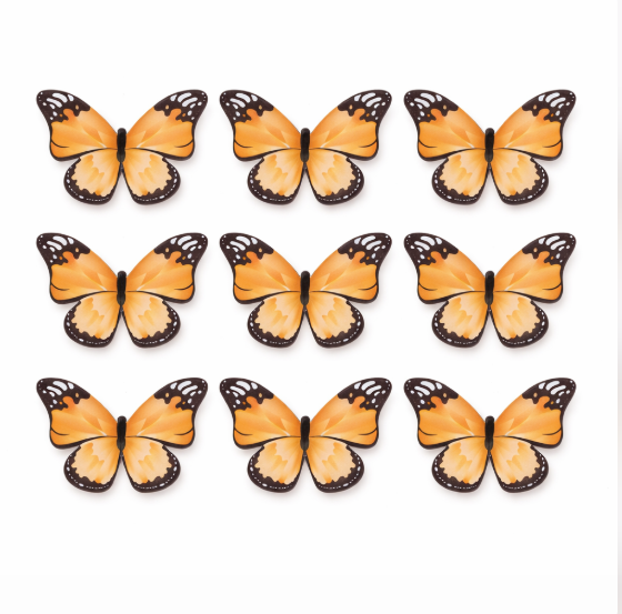 Orange Butterfly Pack Of 10