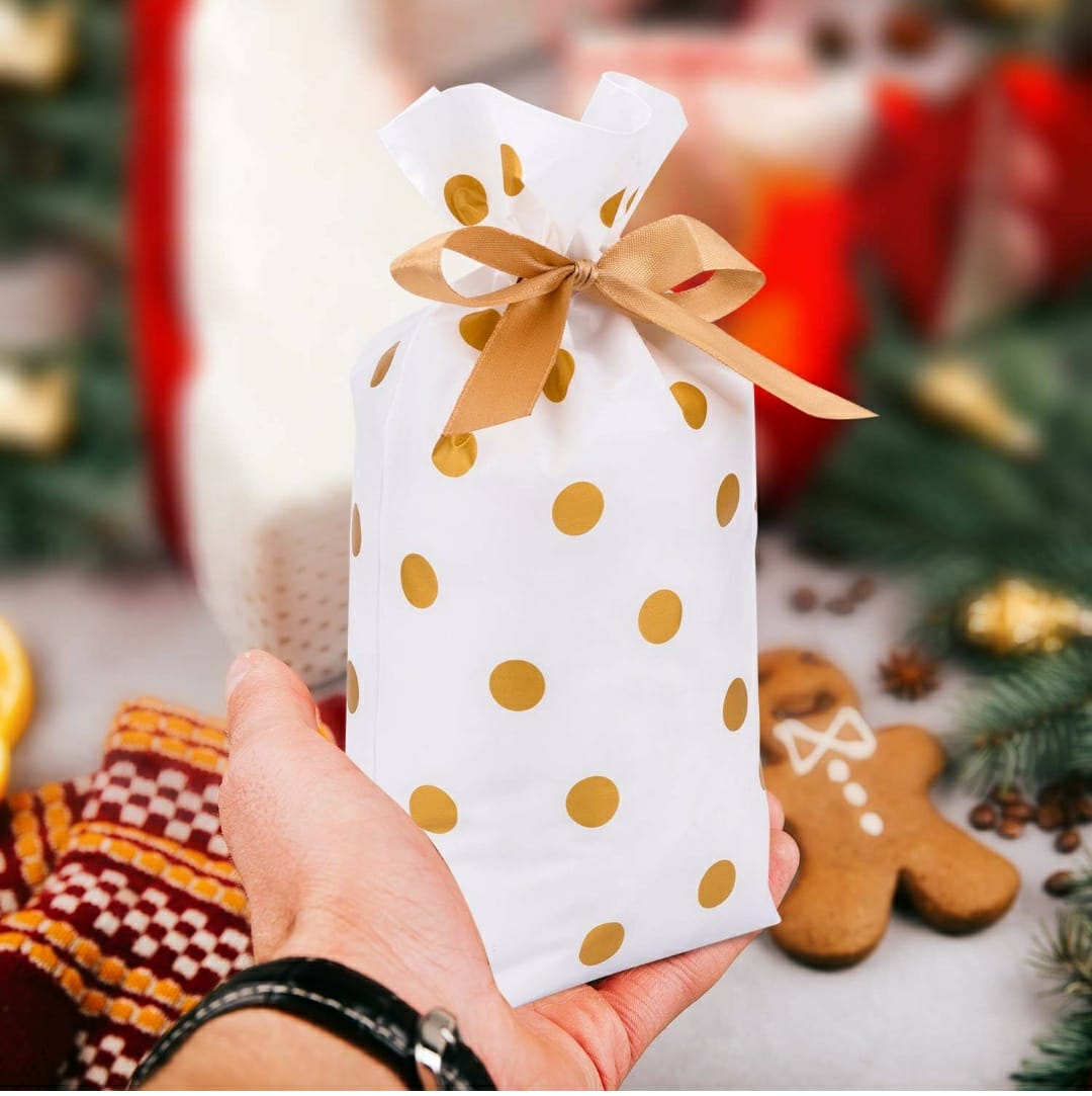 Plastic Pouche size - 7x4.5 inch