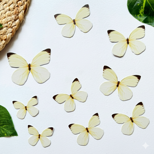 Butterfly Pack Of 10 Yellow
