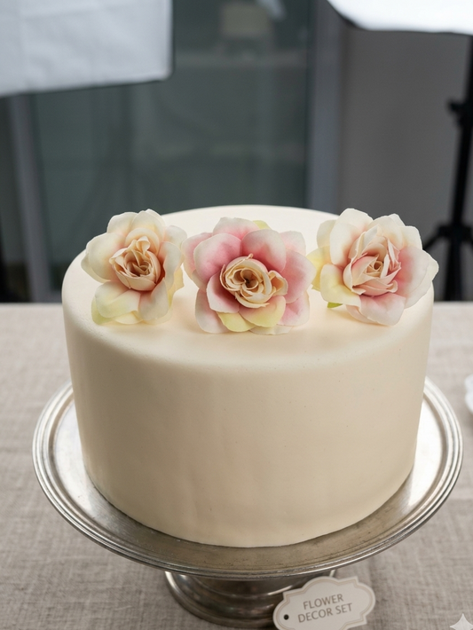 Blush peach Rose flower