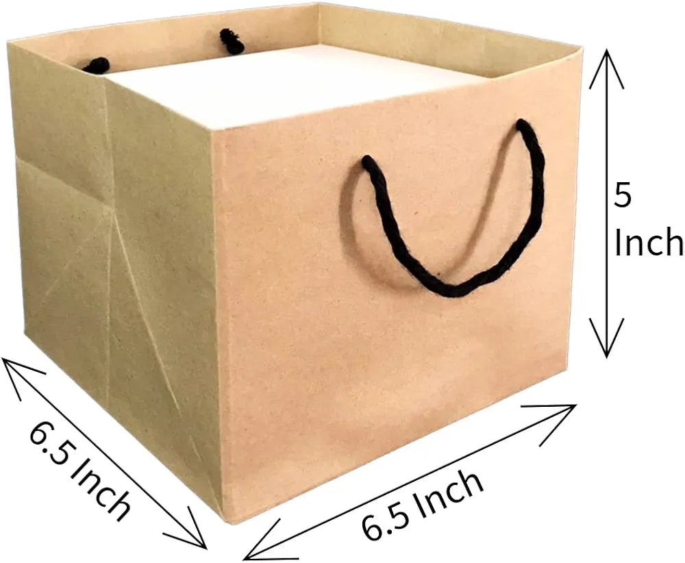 Paper Bag (6.5x6.5x5 inch)