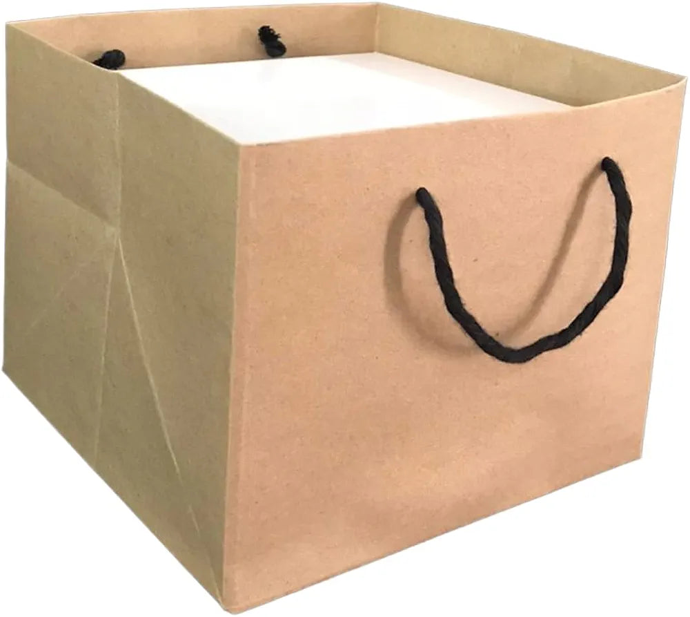 Paper Bag (6.5x6.5x5 inch)