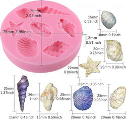 7 Cavity Ocean Sea Shell Mould