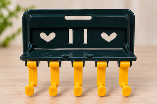 5 Hook Wall Mounted Plastic Key Holder
