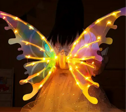 Electric Kinectic Butterfly (Rainbow Wings)