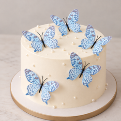 Pastel Blue Butterfly Set Of 5