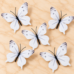 White Butterfly Set of 5