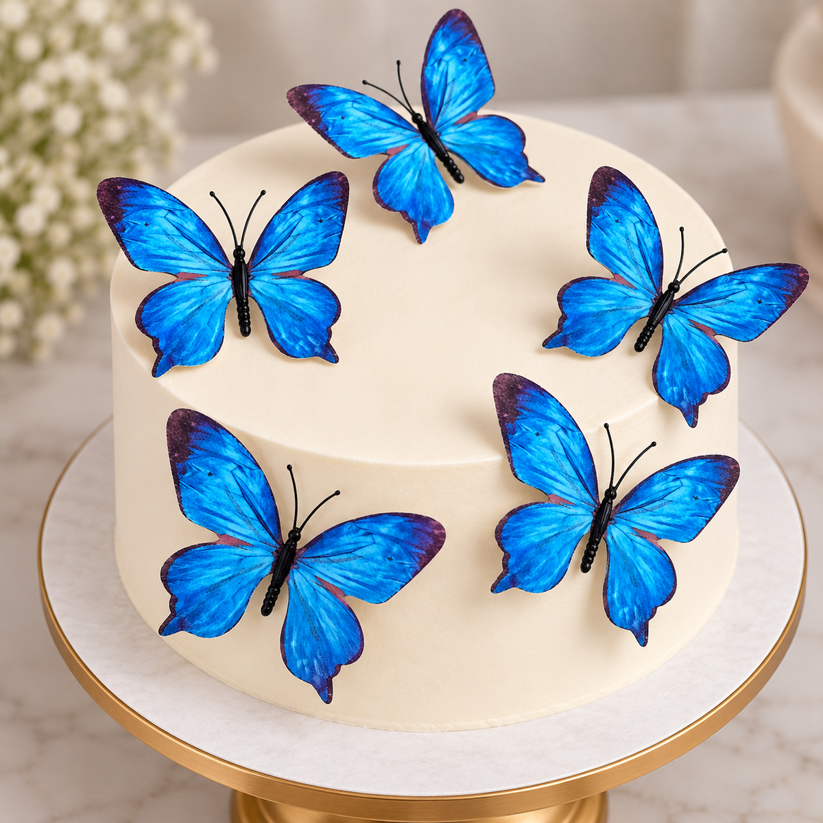 Navy Blue Butterfly Set Of 5
