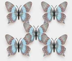 Blue Black Butterfly Set of 5