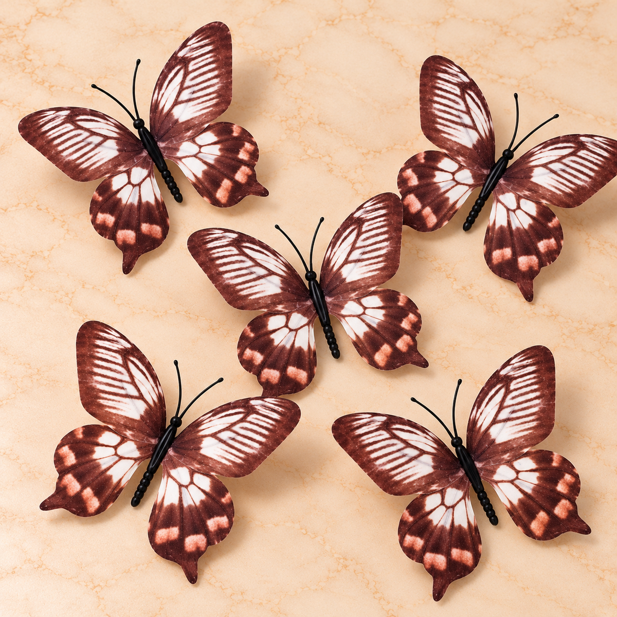 Brown & White Butterfly  Set of 5