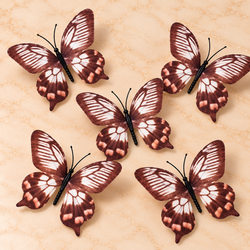 Brown & White Butterfly  Set of 5