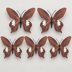 Brown Butterfly Set Of 5