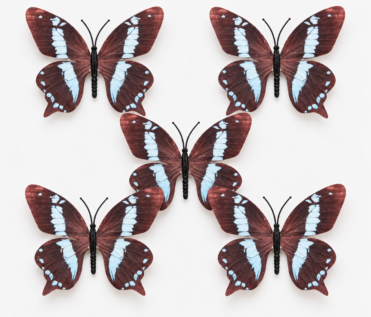 Brown Blue Butterfly  Set of 5
