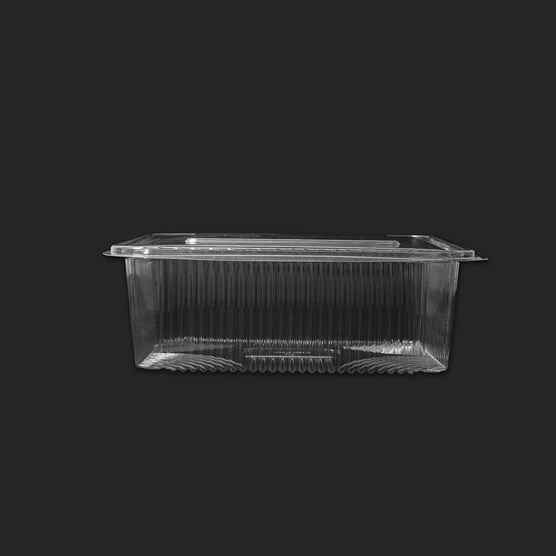 Oracle Cookie Container  Box 7.5*5.5*3  inch 750ml Pack Of 25
