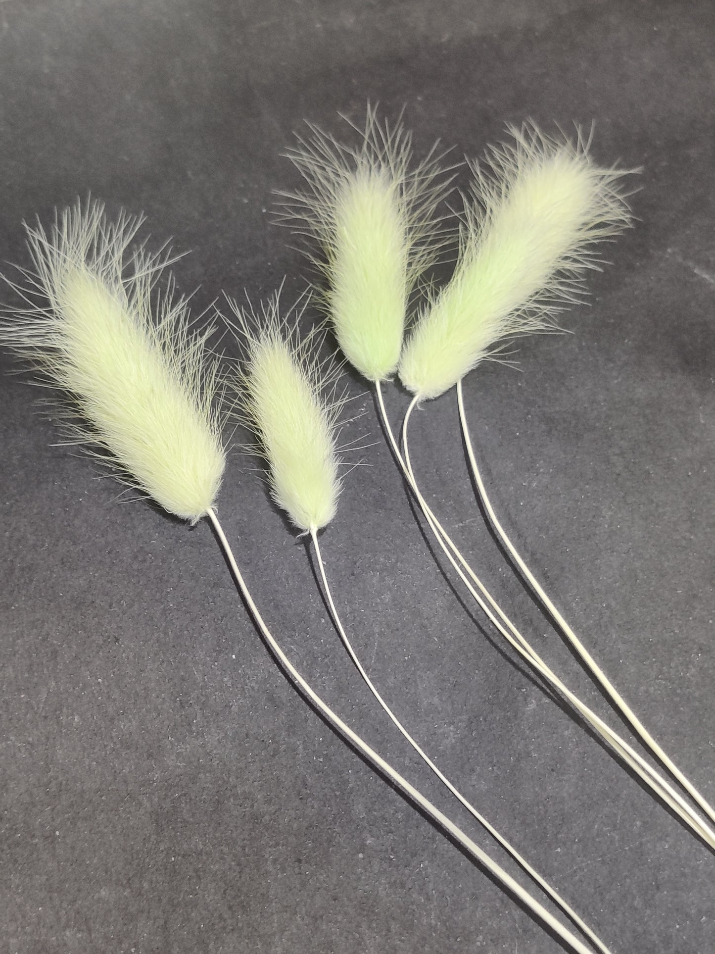 Pastel green bunny tail pack of 5