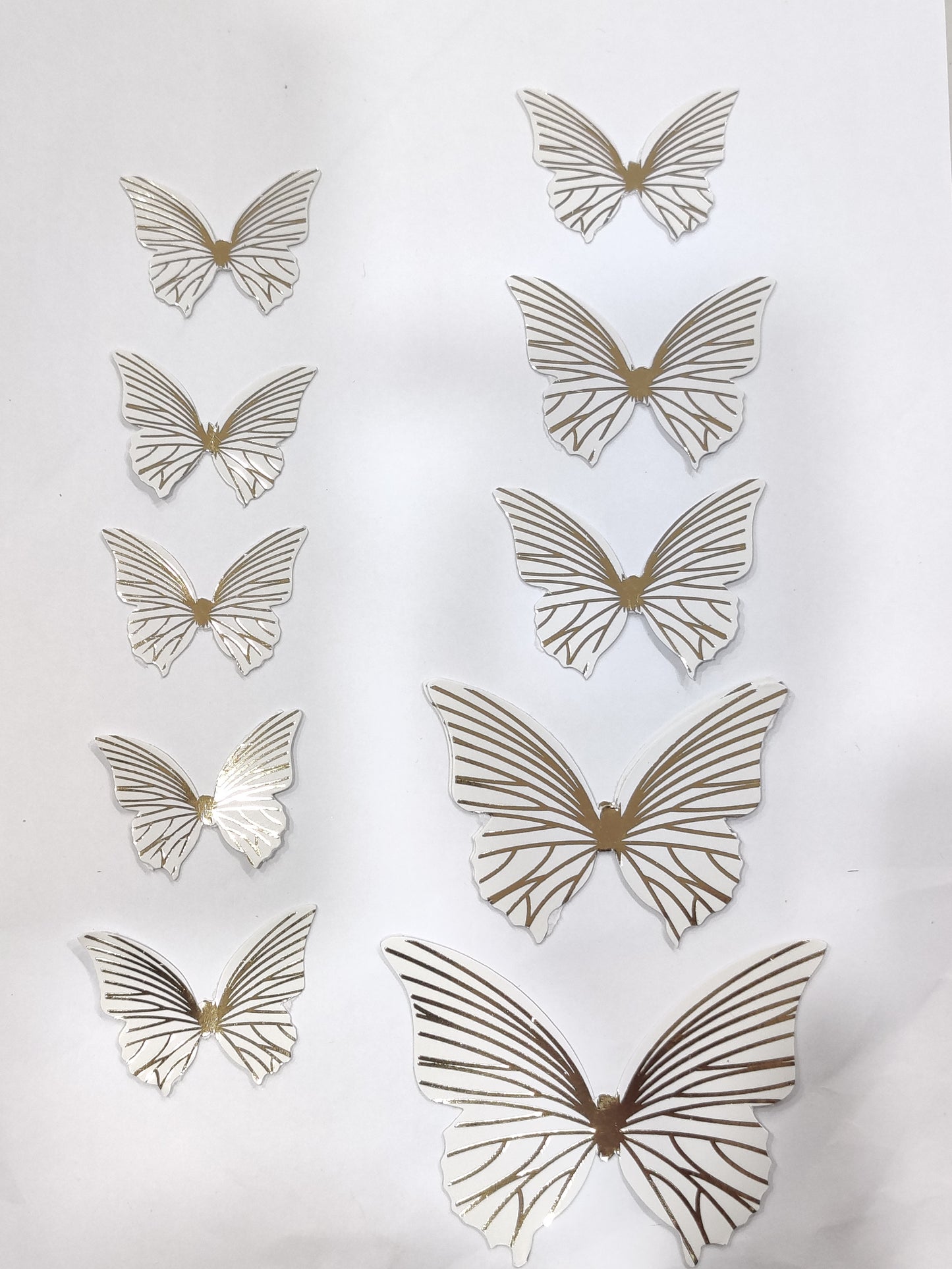 Butterfly pack of 10