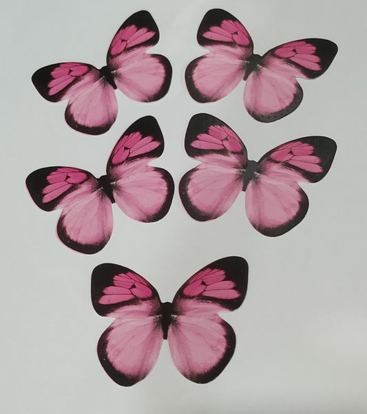 Butterfly Pack Of10 Rendom