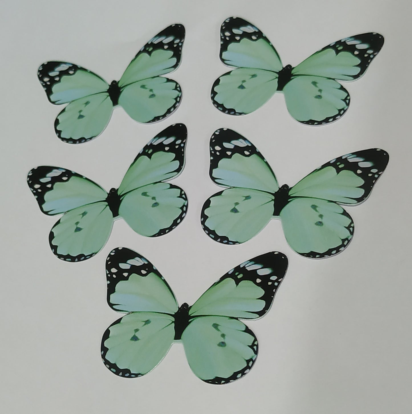 Butterfly Pack of10 Rendom