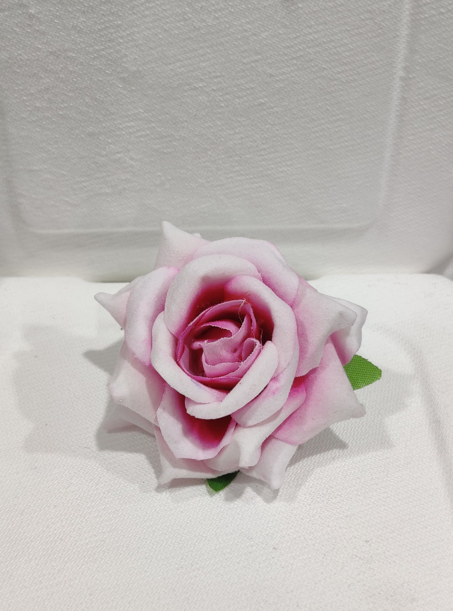 Velvet white and Dark Pink Rose