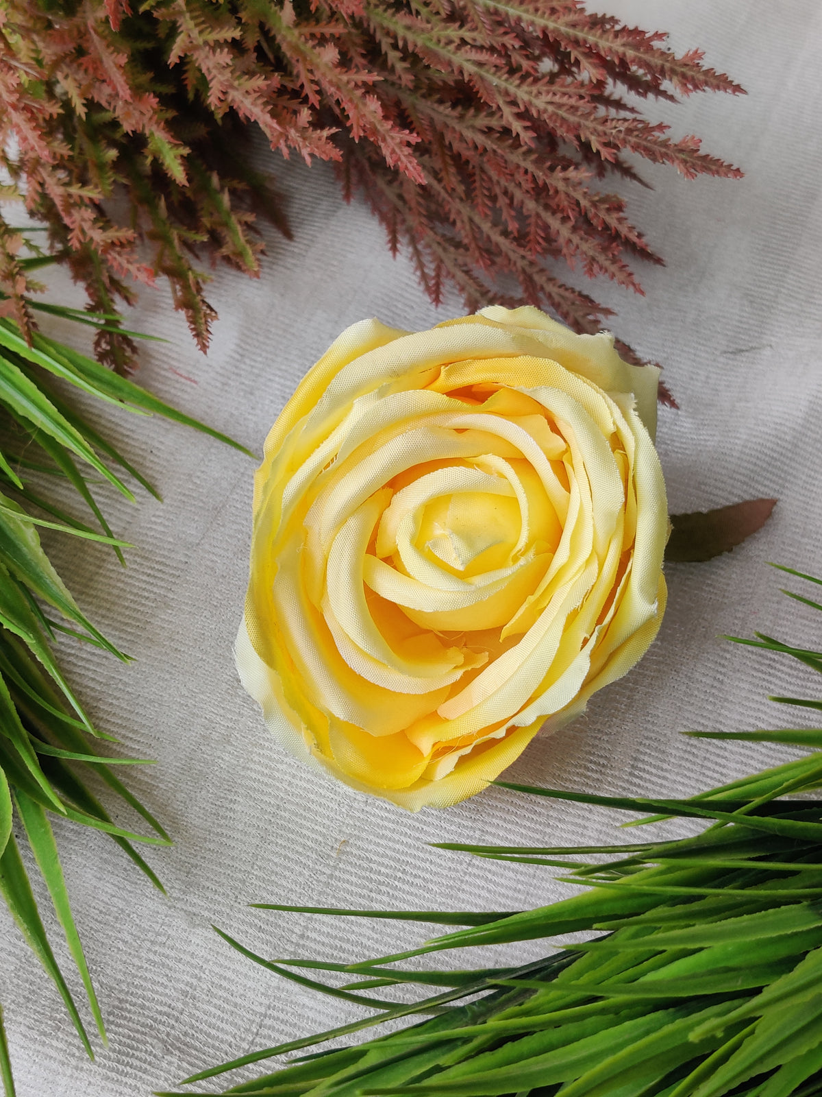 ROSE Yellow Premium Code-EB13