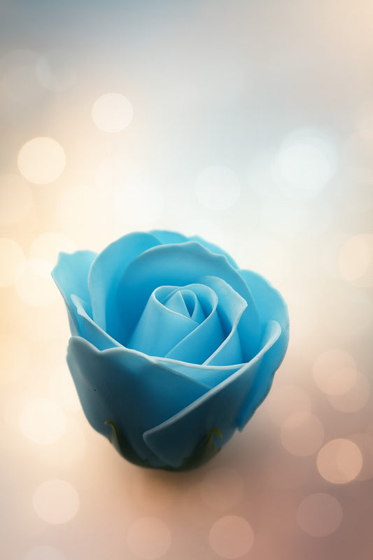 Artificial scented Blue colour Rose flower