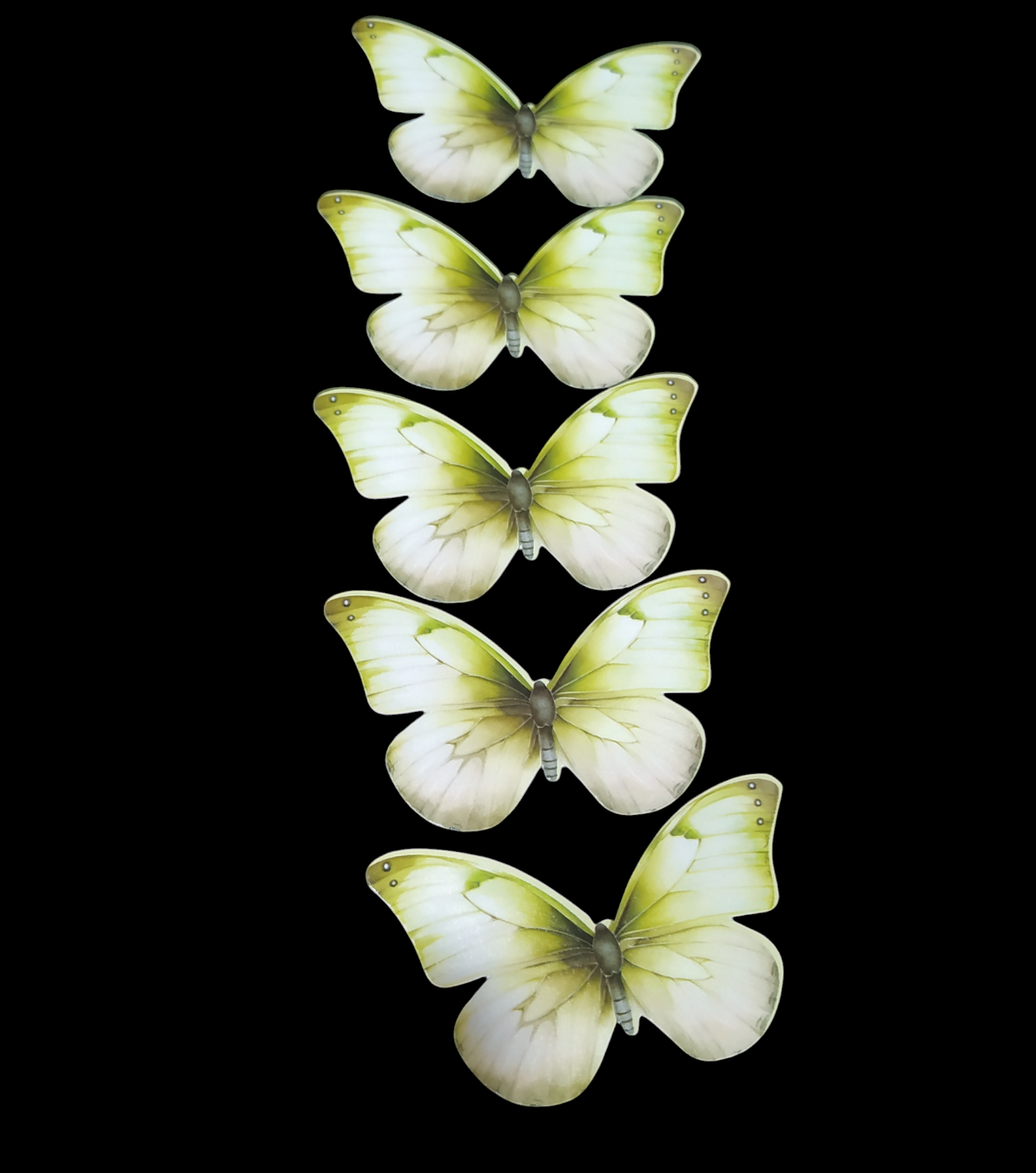 Butterfly Pack of10 Rendom