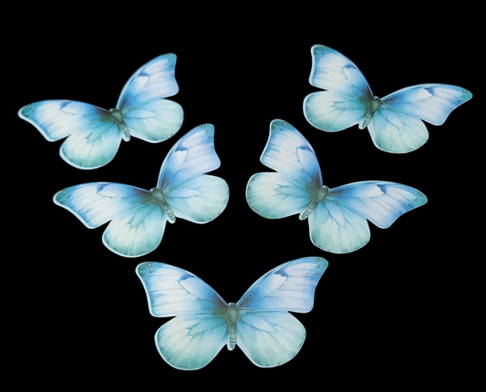 Butterfly Pack of10 Rendom