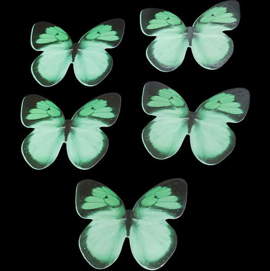 Butterfly Pack Of10 Rendom