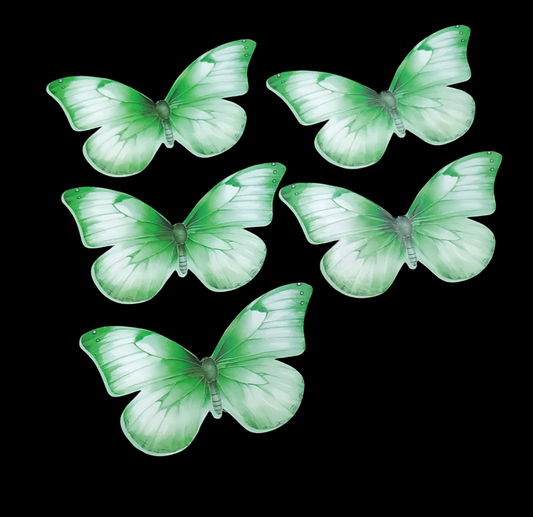 Butterfly Pack of10 Rendom