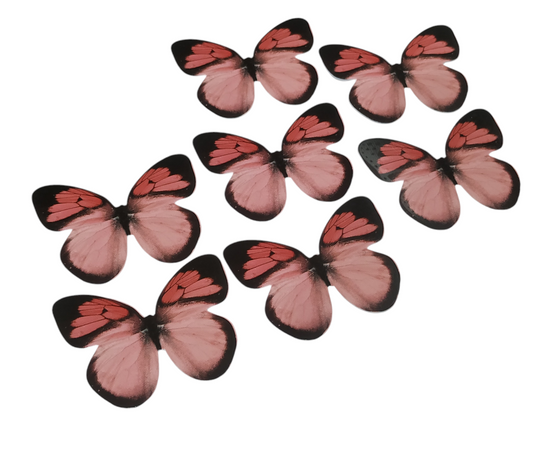 Butterfly Pack Of10 Rendom