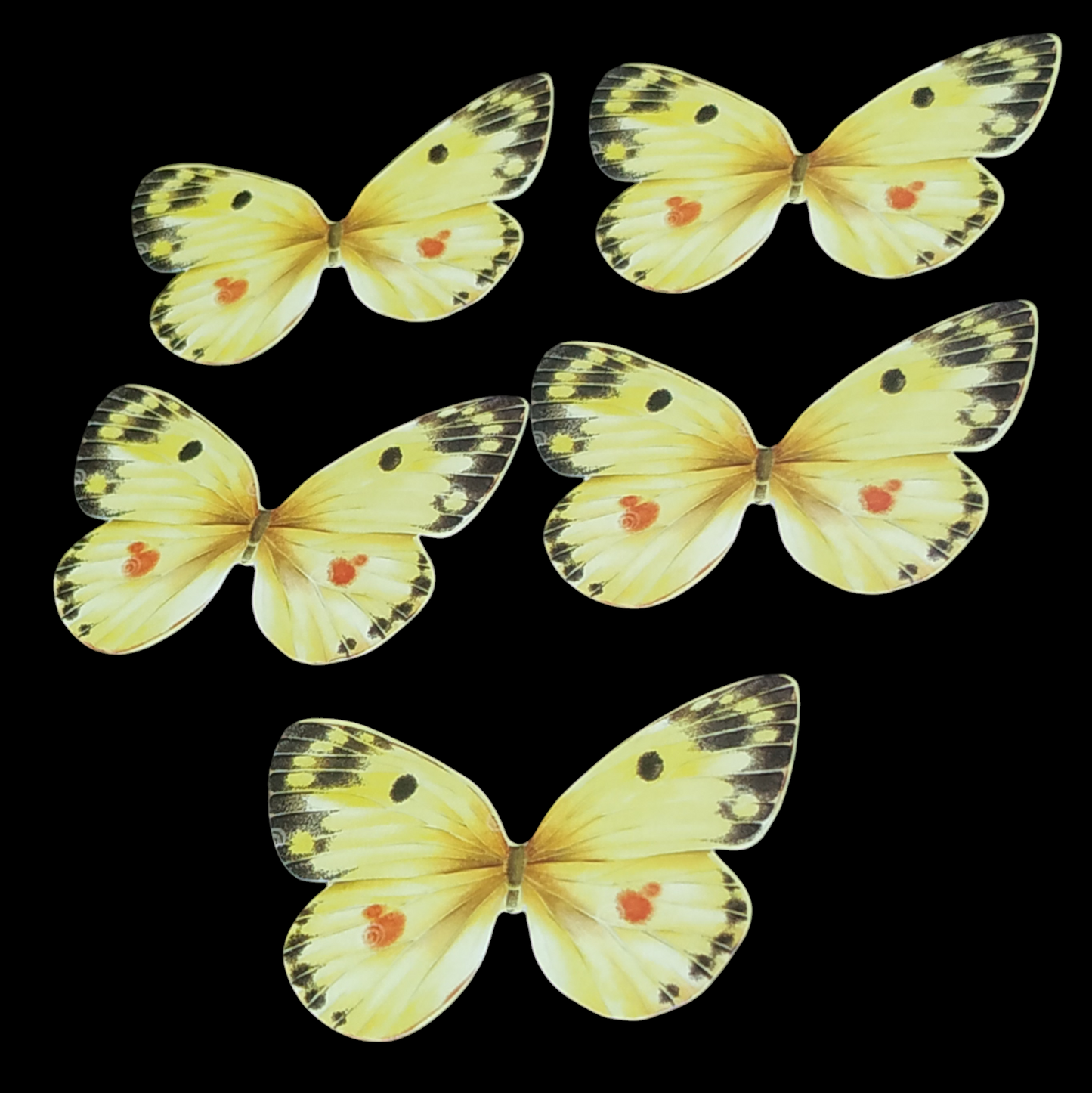 Butterfly Pack Of10 Rendom