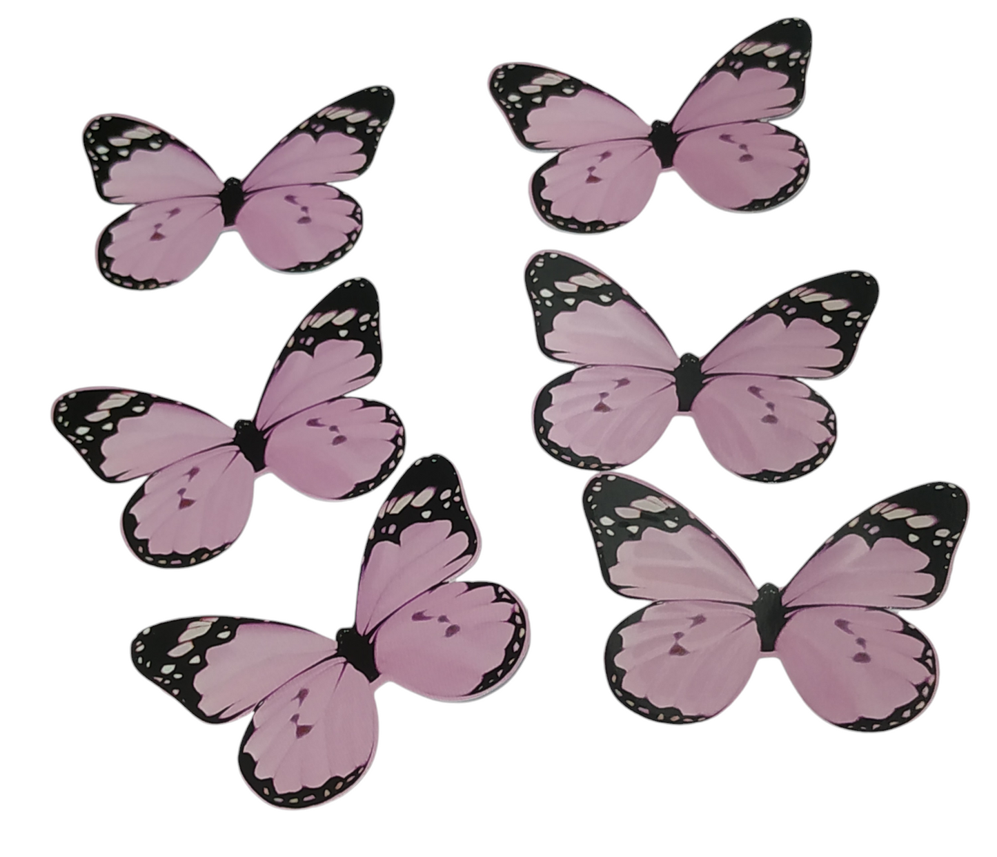 Butterfly Pack Of10 Rendom