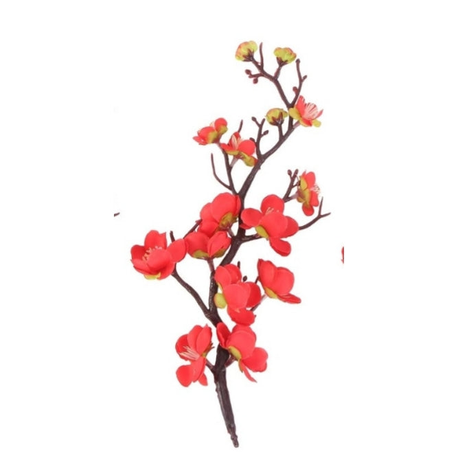 Cherry Branches