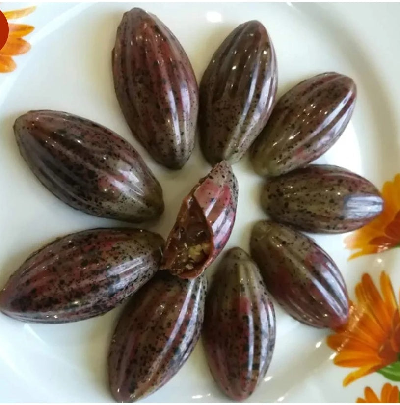 Cocoa Fruit Nut Shape Polycarbonate Mould