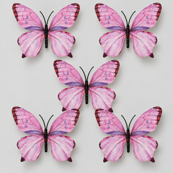 Pink  Butterfly Set Of 5