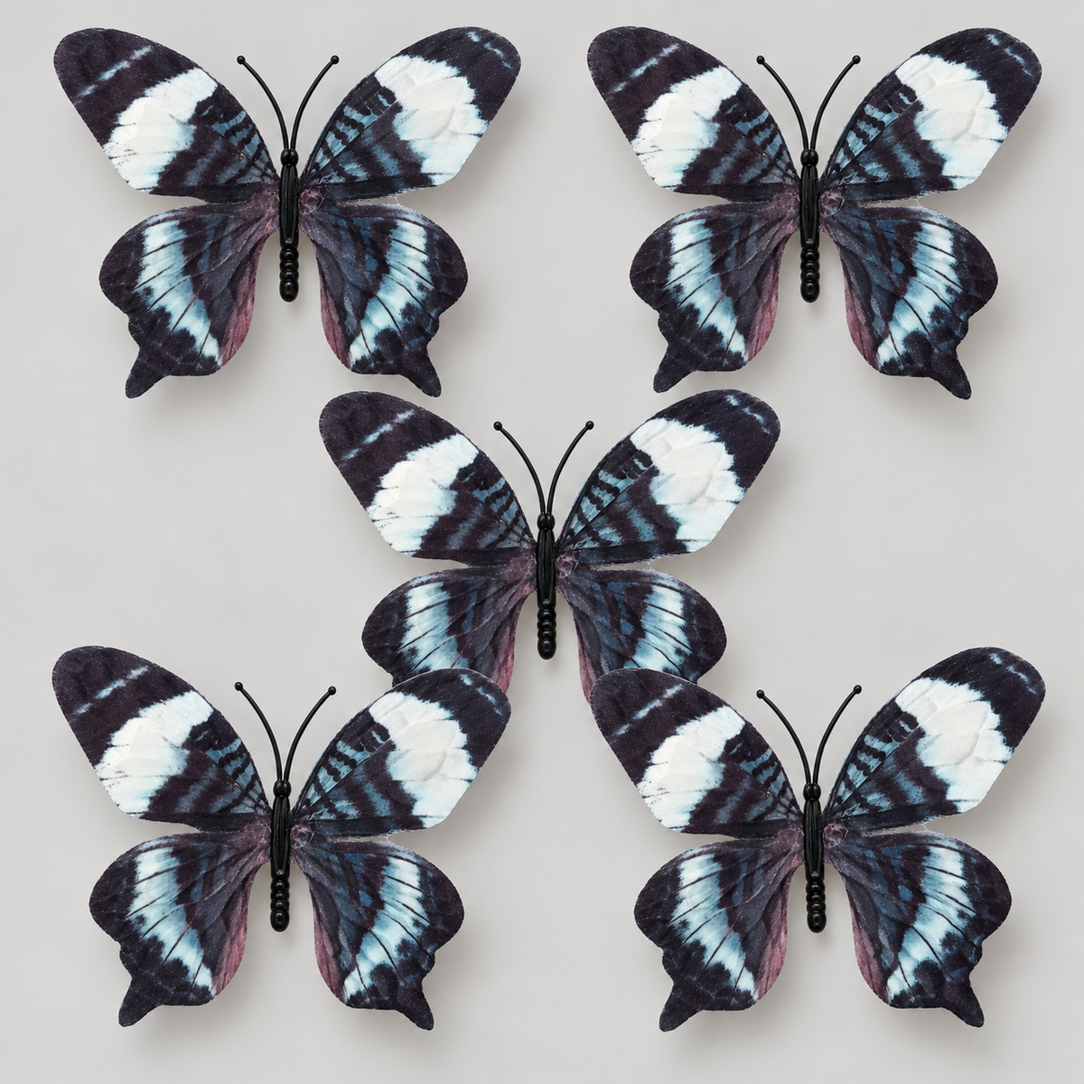 Black Butterfly Set Of 5
