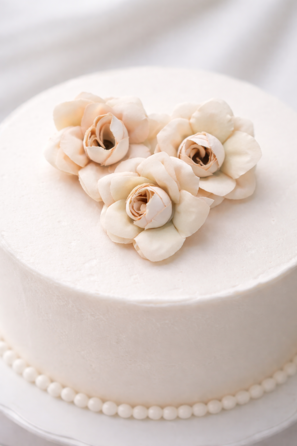 Peach Ivory Rose flower