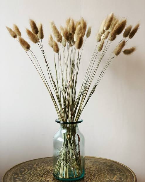 Bunny Tails Brown Colour Bunch