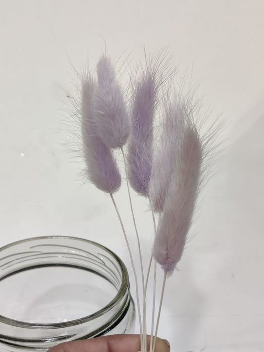 Bunny Tails Lavender Colour Pack of 5