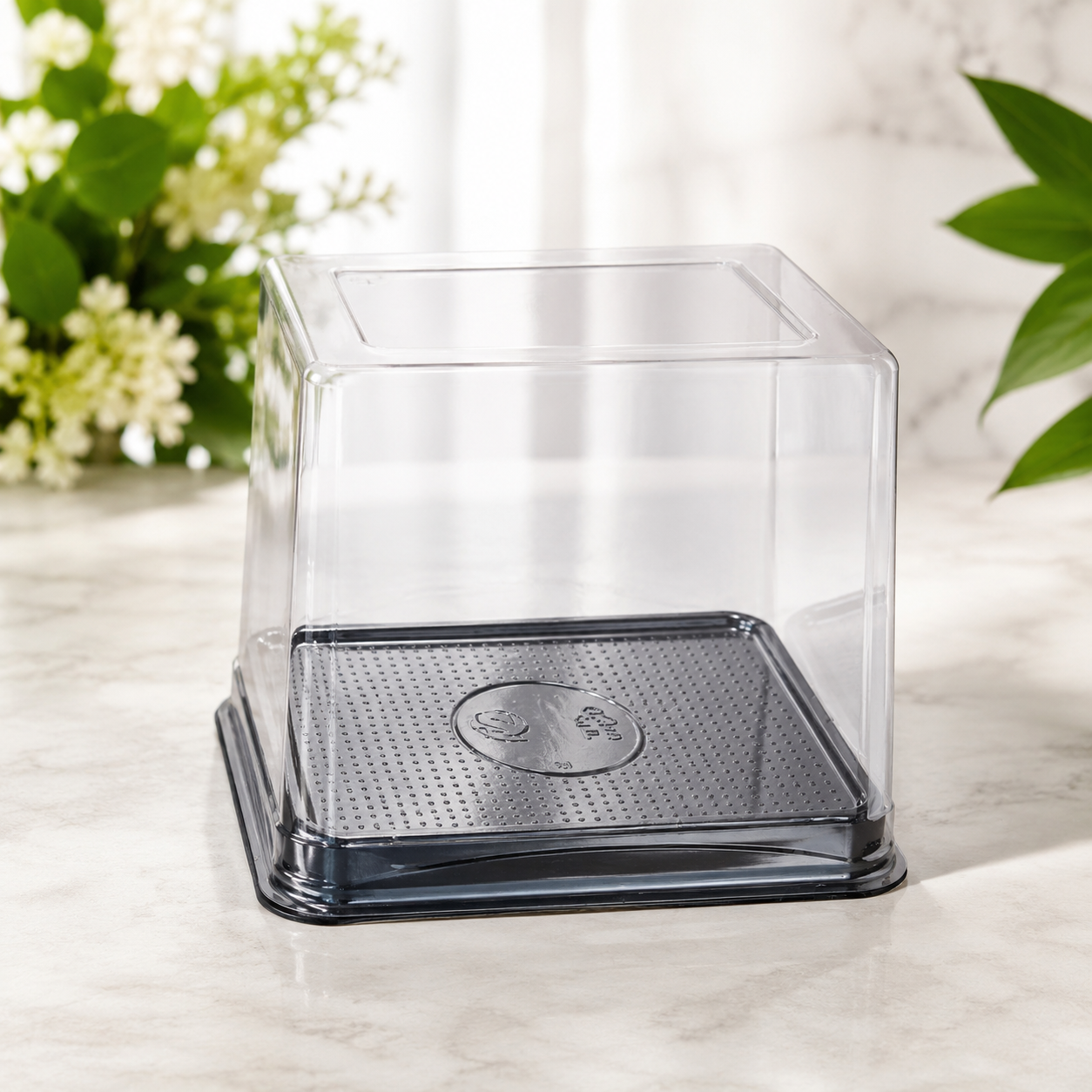 Pastry box pack of 10