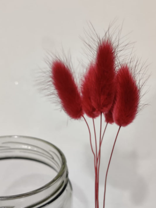 Bunny Tails Red colour Pack of 5