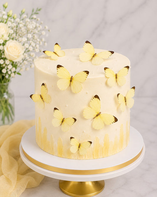 Butterfly pack of 10