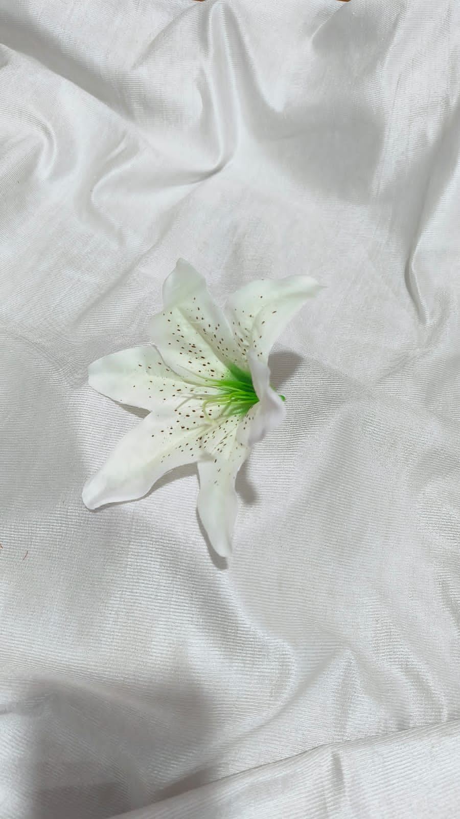 Big White Lily Flower