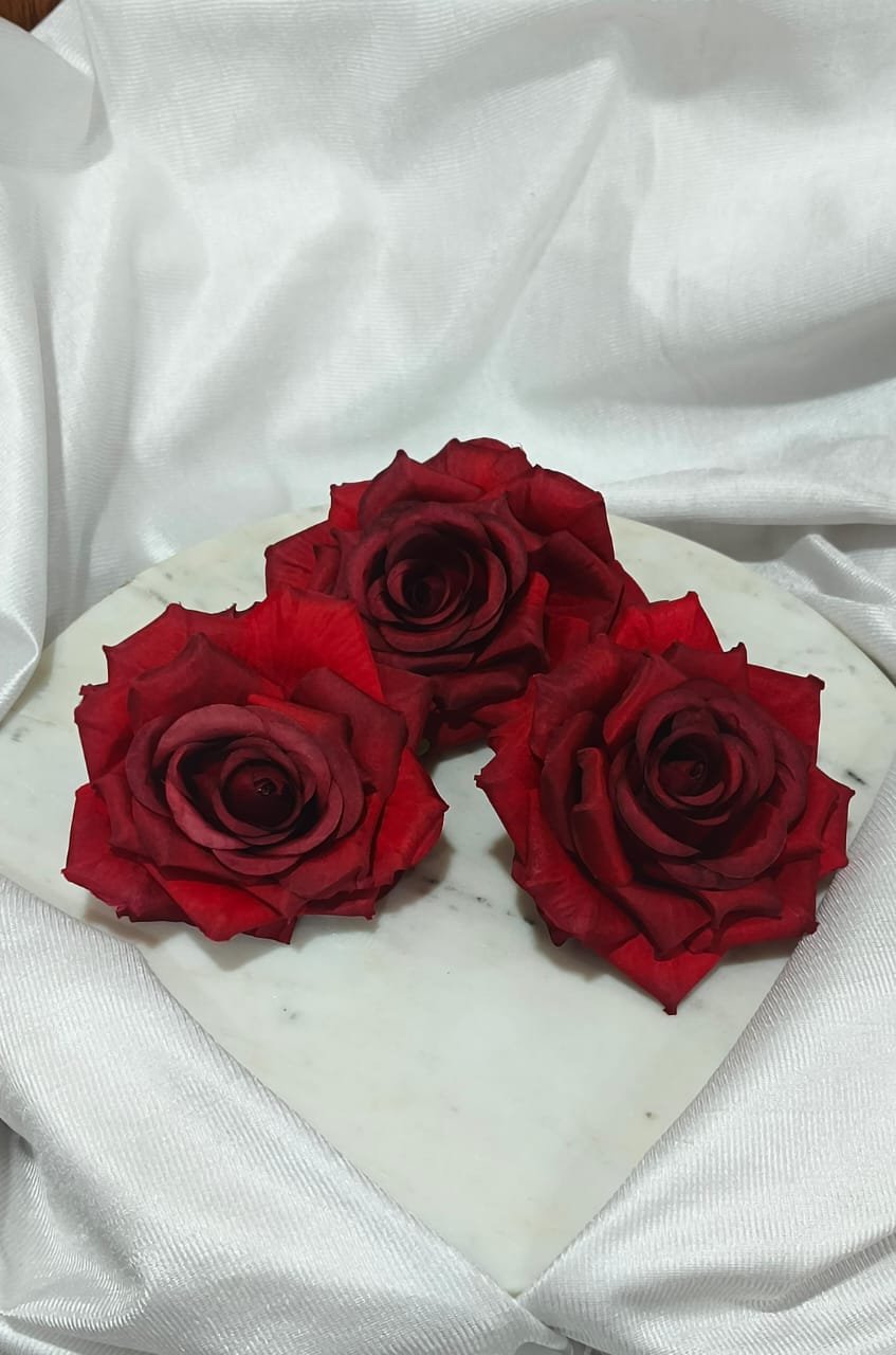 Big Red Rose 5408B